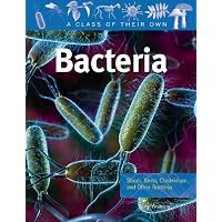 Cinder Cone, Kapoho Eruption, Hawaii