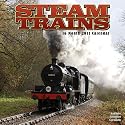 Steam Trains 2011 Wall Calendar #30225-11