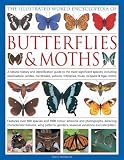 The Illustrated World Encyclopedia of Butterflies and Moths: A Natural History and Identification Guide (Illustrated World...