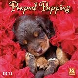 Pooped Puppies 2012 Wall (calendar)