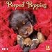 Pooped Puppies 2012 Wall (calendar)