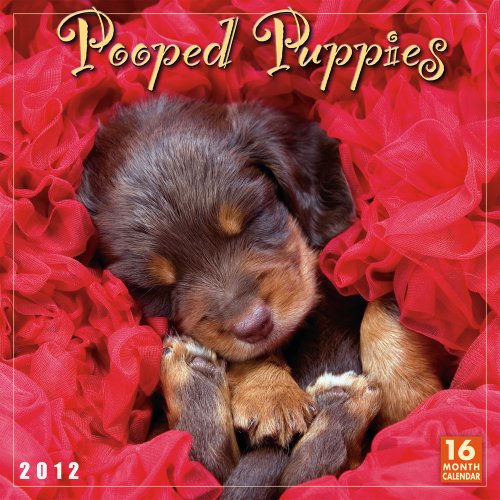 Pooped Puppies 2012 Wall (calendar)