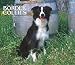 Border Collies, For the Love of 2008 Deluxe Wall Calendar by BrownTrout Publishers
