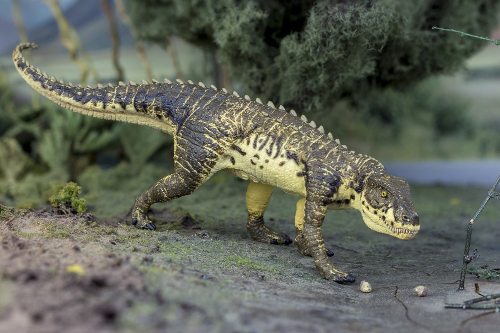 Amazon.com: Safari Ltd Wild Safari Postosuchus: Toys & Games