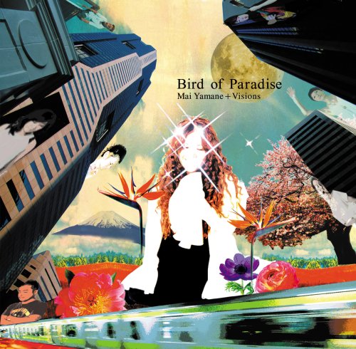Bird of Paradise