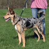 Trixie 1303 EasyWalk-Erziehungsgeschirr, L: 45-65 cm/25 mmvon "Trixie"