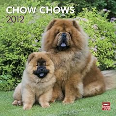 Chow Chows 2012