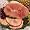 City Half Ham Unsliced 8.5-10 lbs.