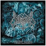 Viking Raids (The Best Of Unleashed)