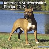 Kalender 2012 American Staffordshire Terrier