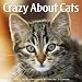 Crazy About Cats 2010 Wall Calendar