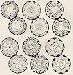 Jeannetta Kendall Dollhouse Miniature Doilies