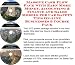 Massive Cash Flow Pack with Earn More Money, Accounting & Finance and Sales Models for Car Safety Tips On-line Businesses 3 Course Pack