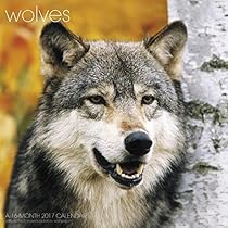 Wolves Wall Calendar (2017)