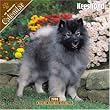 Keeshond 2008 Wall Calendar