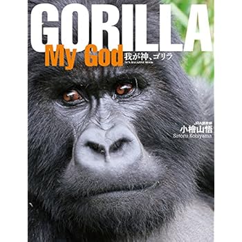 GORILLA MY GOD 小檜山悟