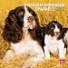 English Springer Spaniels (Intl) 2012 Square 12X12 Calendar (Multilingual Edition) by BrownTrout Publishers Inc