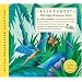 Rain Forest (Alpha Relaxation Solution)