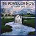 The Power of Now Calendar