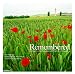 Remembered: The History of the Commonwealth War Graves Commission