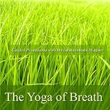 The Yoga of Breath - Guided Pranayama with David Harshada Wagner