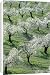 Canvas Prints of Almond Tree - Cultivation near the town of Alhama de Granada; in full blossom from Ardea Wildlife Pets