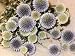 Dried Echinops Bunch (Globe Thistle)