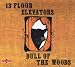 Bull of the Woods