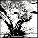 I Killed The Prom Queen-Re-opened Wound