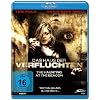 Das Haus der Verfluchten - The Haunting at the Beacon [Blu-ray]