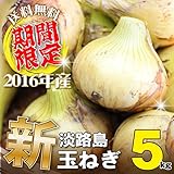 淡路島産 玉ねぎ 5kg　2016年新玉ねぎ