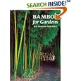 Bamboo for Gardens by  Ted Jordan Meredith
