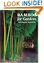 Bamboo for Gardens