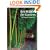 Bamboo for Gardens