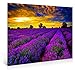 Nuolan Art Framed Canvas Print Wall Art -PURPLE LAVENDER MORNING- Modern Landscape Picture- Oil Painting Canvas Print for Wall Decorations-CND-P1L4060-005