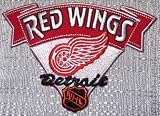 NHL Hockey Detroit Red Wings Embroidered Hat / Jacket PATCH