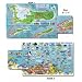 Cayman Island Fish and Creature Guide