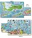 Cayman Island Fish and Creature Guide