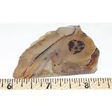 Montana Agate Slab