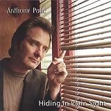 Hiding In Plain Sight