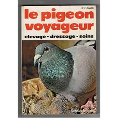 Le pigeon voyageur