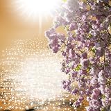 Reflection Haiku: Living Modern Lives the Simple Way - Lily Wangs English and Chinese Zen Shorts