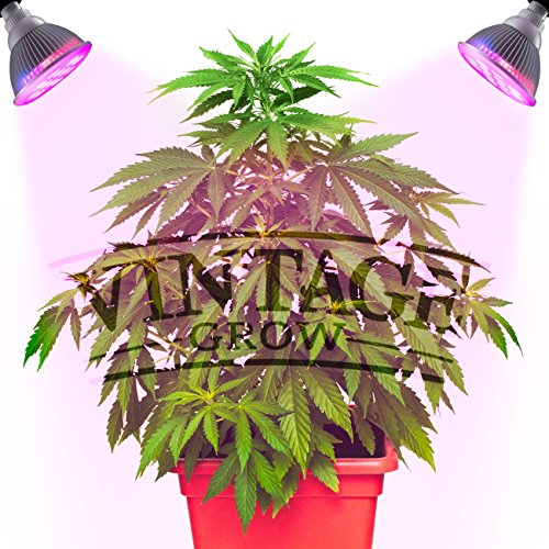 Vintage Grow HIGH YIELD Full Spectrum Hydroponics LED Grow Light Bulb Lamp – Best of all Plant Lights for Indoor Growing of Cannabis Marijuana Weed and Medicinal Plants