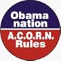 Obama Nation (Abomination): A.C.O.R.N. Rules (USA / United States of America / American / Political) - 1 1/4" Button / Pin