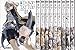 タブー・タトゥー (KADOKAWA) コミック 1-10巻セット (MFコミックス アライブシリーズ)