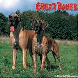 Great Danes 2008 Wall Calendar