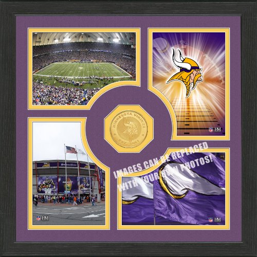 NFL Minnesota Vikings 