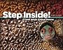 Step Inside!: A Look Inside Animal Homes
