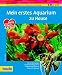 Mein erstes Aquarium zu Hause
