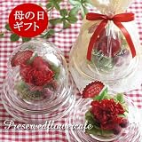 �ڡ���������ꥮ�եȡ��۸Ϥ�ʤ����� �ץꥶ���֥ɥե��� ���줵�󤢤꤬�Ȥ�